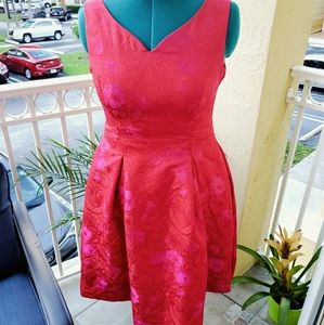 Katherine Kelly Cocktail